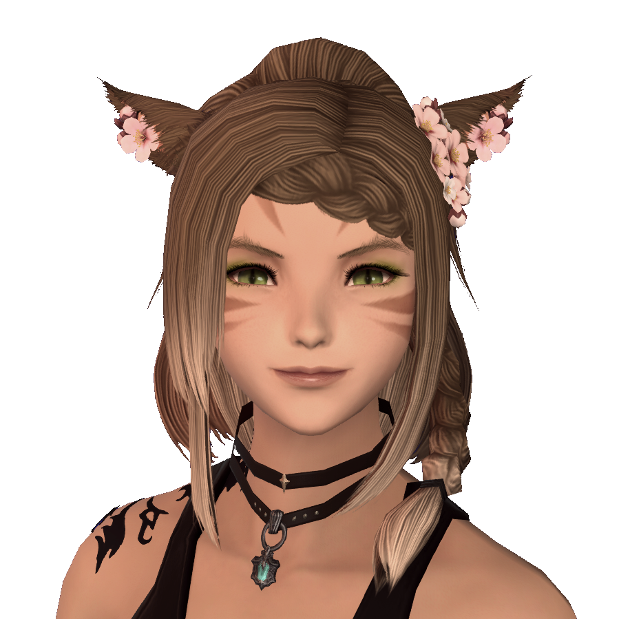 Felis Emote Button Leiste