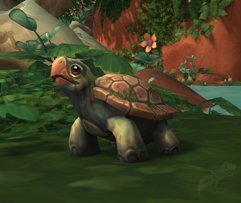 After Turtle WoW Shutdown, New Project Attempts to Preserve It